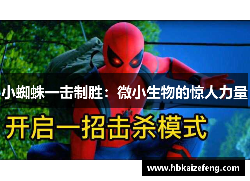 小蜘蛛一击制胜：微小生物的惊人力量
